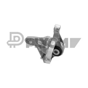 PLYOM P081077
