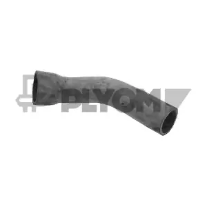P186722 PLYOM