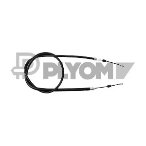 PLYOM P069099