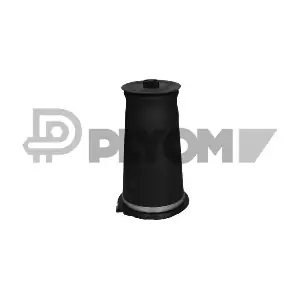 P753484 PLYOM