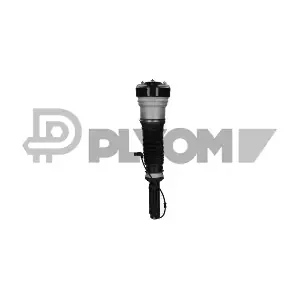P751966 PLYOM