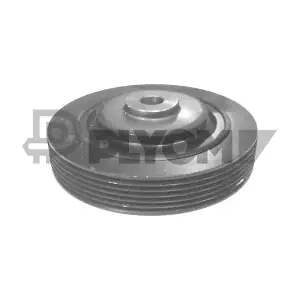 P020892 PLYOM