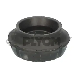 PLYOM P755798