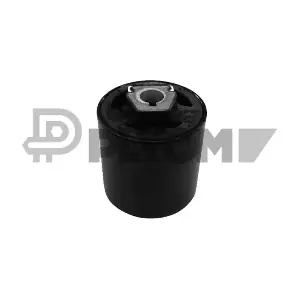 PLYOM P755381