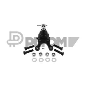 P774153 PLYOM