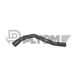 P026176 PLYOM