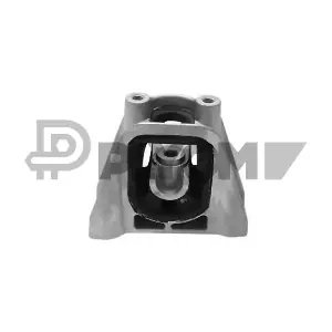 P756377 PLYOM
