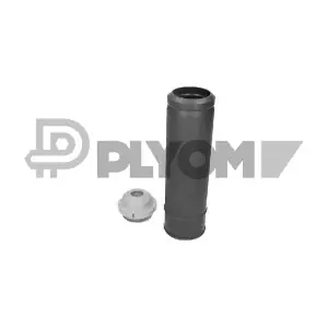 P750942 PLYOM