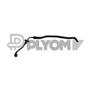 PLYOM P766963