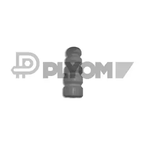 P480531 PLYOM