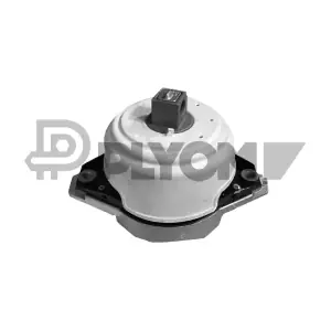 P773746 PLYOM