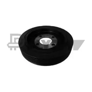 P754681 PLYOM