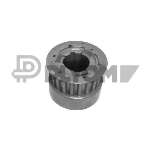 P031569 PLYOM