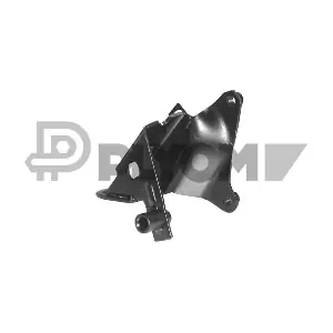 P460949 PLYOM