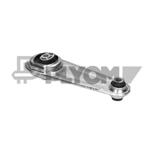 PLYOM P021505