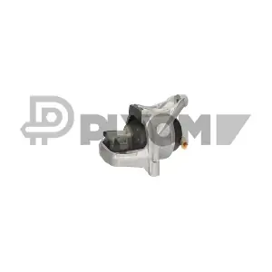 P776167 PLYOM