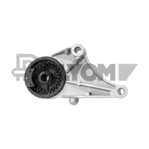 P756187 PLYOM