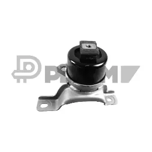 PLYOM P769454