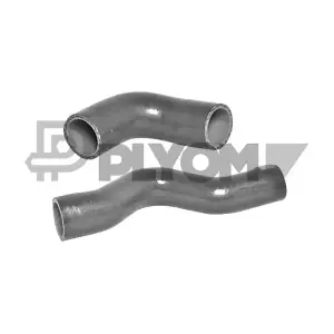 P772284 PLYOM