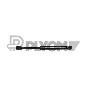 P773437 PLYOM