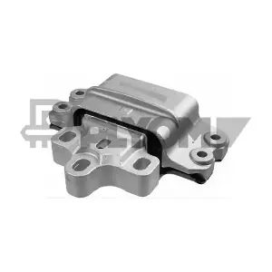 PLYOM P756306