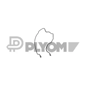 P775582 PLYOM