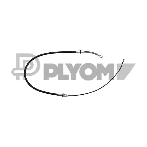 P763197 PLYOM