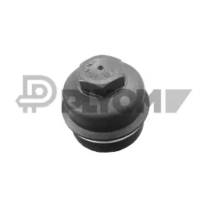 P760720 PLYOM