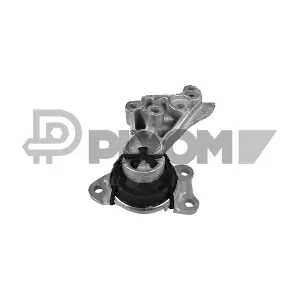 P770901 PLYOM