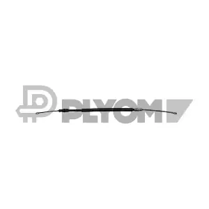 P035806 PLYOM