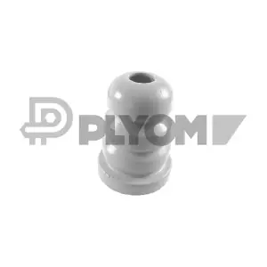 P750039 PLYOM