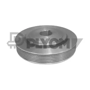 P030965 PLYOM