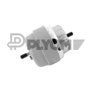 P756270 PLYOM