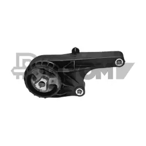 PLYOM P756301