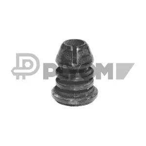 460107 PLYOM