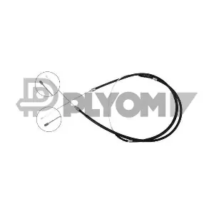P019058 PLYOM
