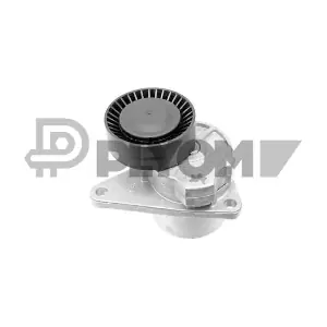P772423 PLYOM