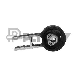 P011263 PLYOM