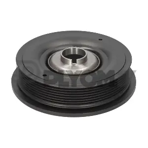PLYOM P020951