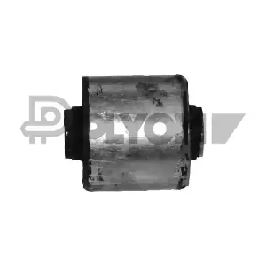 P021101 PLYOM