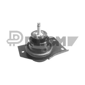 P769957 PLYOM