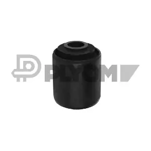 P020371 PLYOM