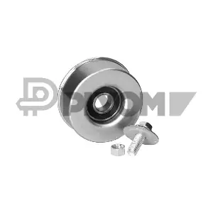 P751876 PLYOM