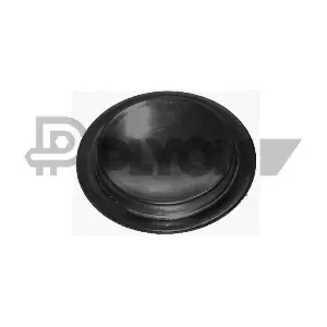 PLYOM P011065