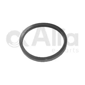 AF10613 Alfa e-Parts
