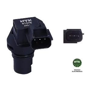 81376 NTK
