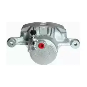 C495R Calipere+ NAIBA