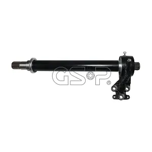 202857 GSP-BR