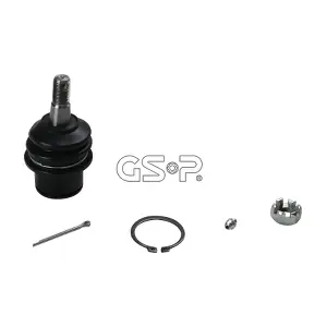 S080707 GSP-BR