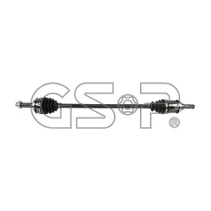 202162 GSP-BR